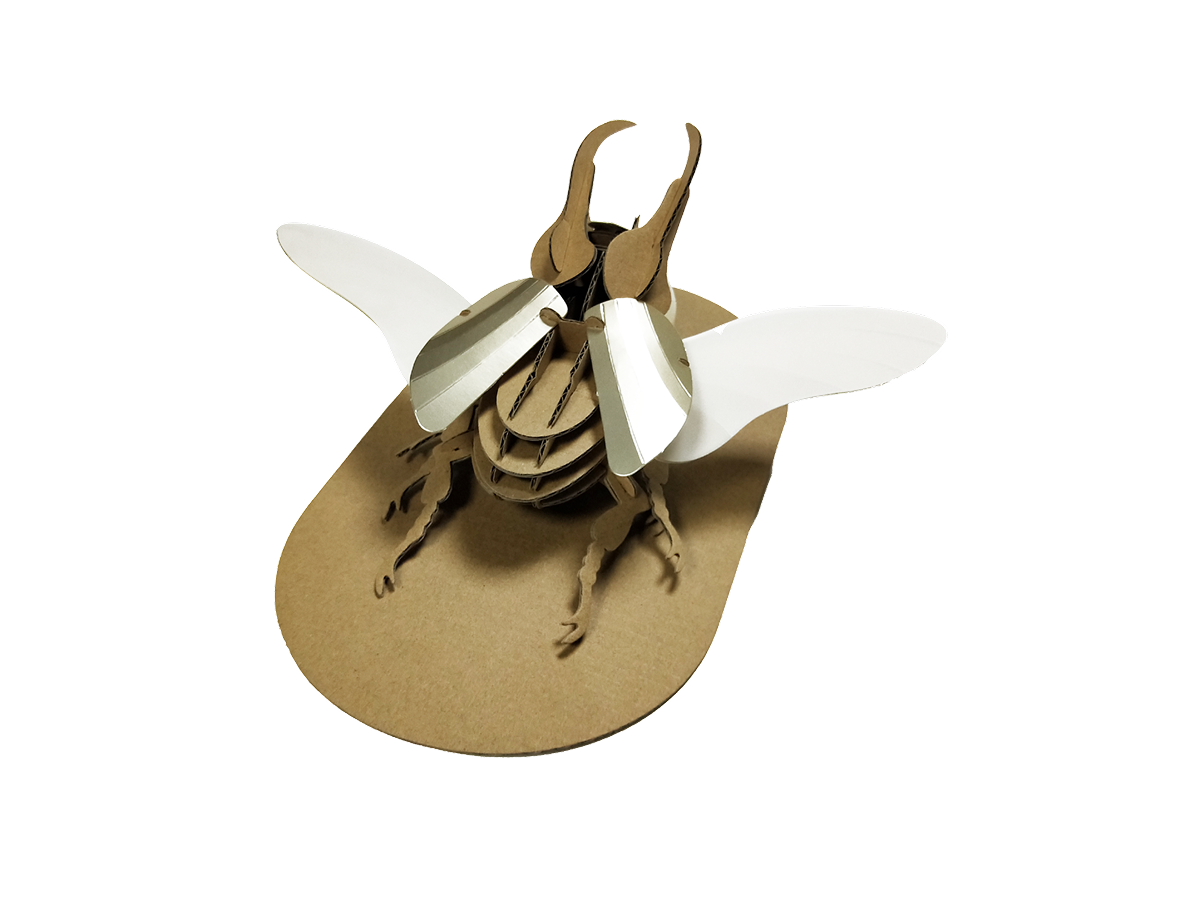 Custom animal 3D puzzle educational bulk order of a laser cut cardboard beetle with spread wings